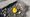 A rubber duck in a pothole