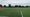 Picture: Lichfield City FC