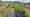 Fullbrook Nursery