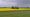 Field Cottage. Picture: Google Streetview