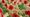 Field of Remembrance