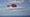 Midlands Air Ambulance