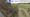 The site earmarked for the new stable block in Hammerwich