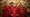 Lichfield Cathedral School choristers
