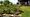 A previous Whittington Open Gardens event
