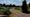 The allotments at Netherstowe