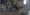 Bodycam footage capturing the dogs at one of the addresses