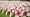 Remembrance poppy crosses. Picture: Royal British Legion