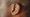 Ear