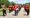 The Band of the Royal Regiment of Fusiliers