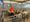 Katie-Alice Healey at the livestock auction