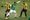 A MAN v FAT football game