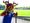 Chasetown mascot Stan the Stag