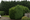 The plot earmarked for the new property