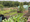 Wharfside Allotments