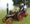 A youngster enjoying a steam ride at the Whittington Countryside and Craft Fair