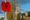 A poppy on a lamp post