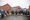 The dog walking event at Sheasby Park