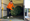 Sam Colclough collecting a Christmas Tree as part of the Treecycle scheme