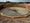 Construction taking place at the sewage works in Burntwood