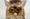 A Furby