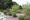 A tree dedicated to Anne Frank in the Garden of the Innocents