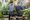 Two men with plants at Dobbies