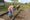 Back the Track volunteers clearing the route of the former South Staffordshire Railway line