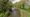 A stretch of the Coventry Canal in Fradley. Picture: Google Streetview
