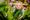 A child with a plant at Dobbies