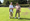 Lichfield Beacon Probus Club bowls players