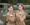 The Bluebird Belles at Chasewater Railway's 1940s event