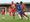 Todd Ferrier on the ball for Chasetown. Picture: Dave Birt