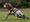 A Burntwood player breaks a tackle