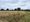 Land at Pipehill Farm