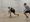 Two men playing squash