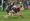 Burntwood in action in the Staffordshire Under-15 Plate final