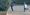 The two caught on CCTV