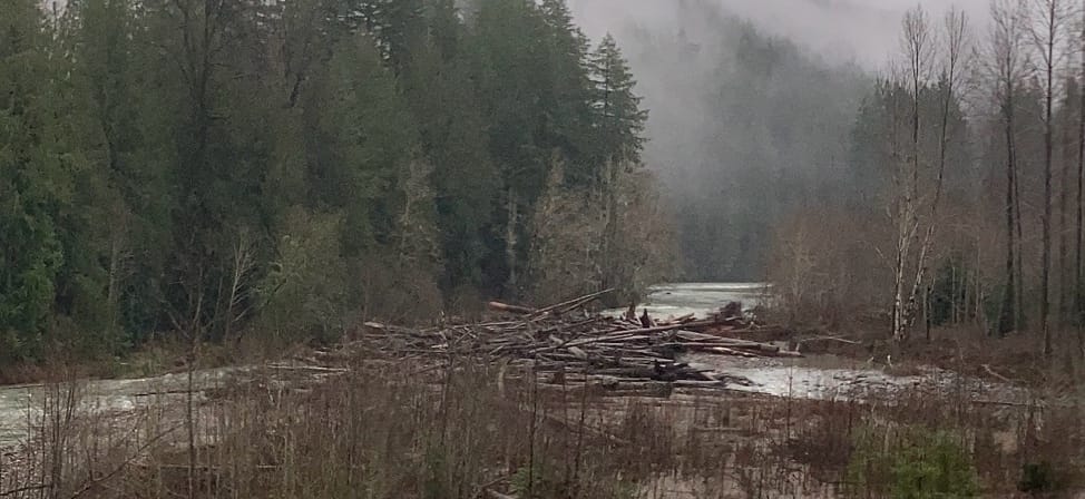 Log Jam on Sauk, east channel, Dec 21