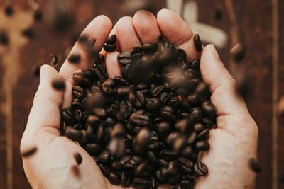 Food Empire Holdings (F03): The Owner's Analysis