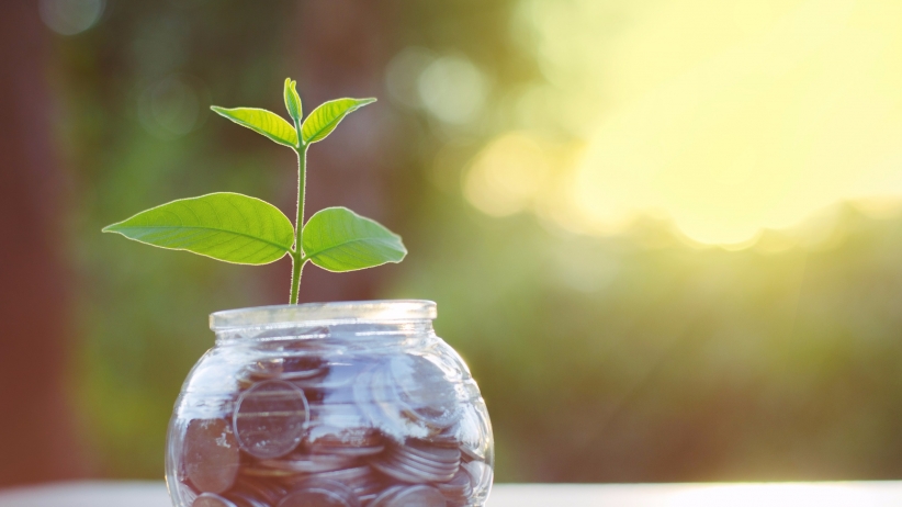 Startup Equity in South Africa