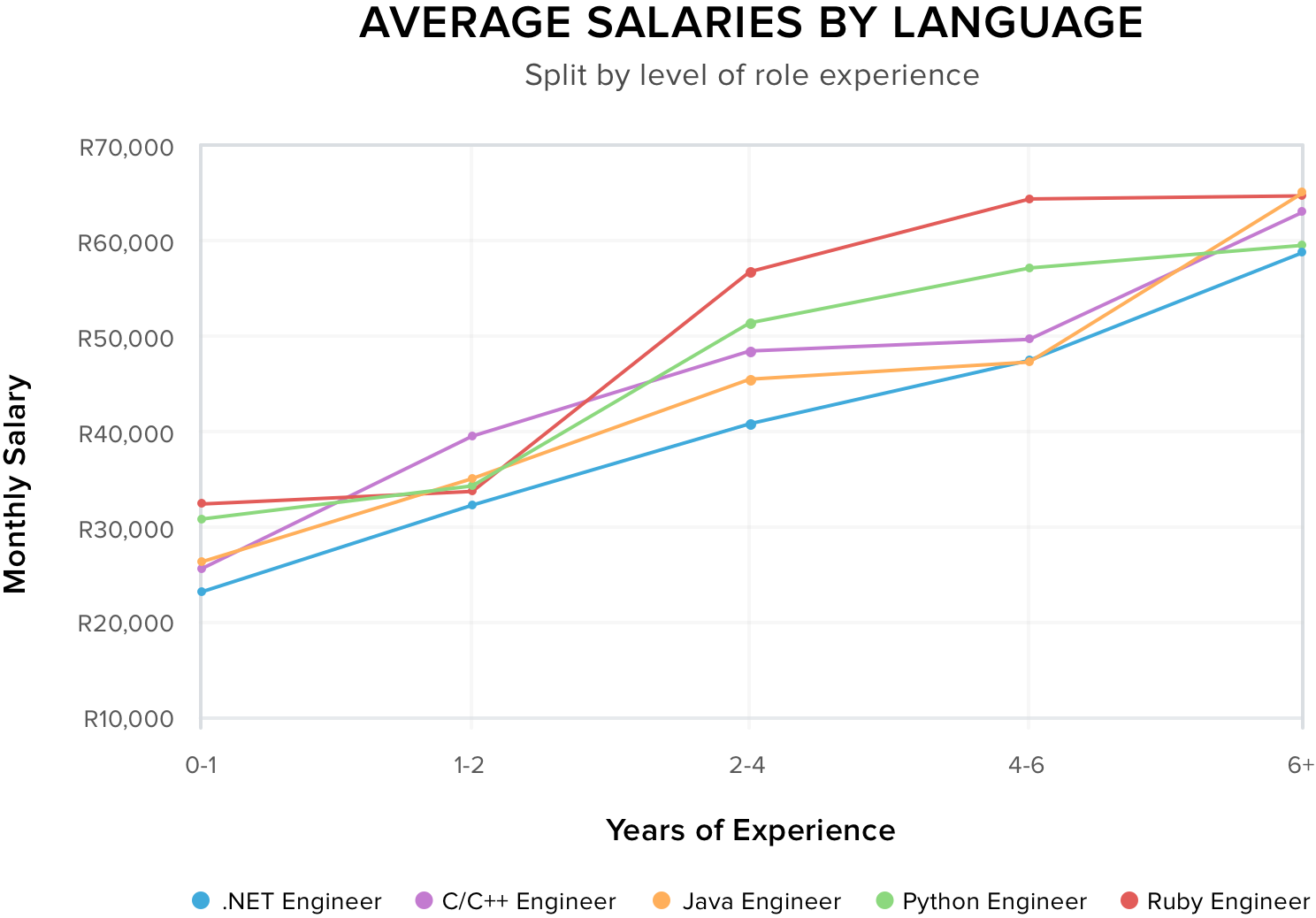 Java developer, Ruby developer, Python developer salary, .NET developer, C developer, C++ developer