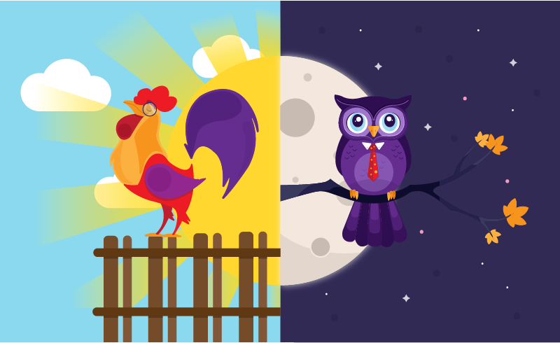 Does the Early Bird Really Catch the Worm? Choosing the Right Shift