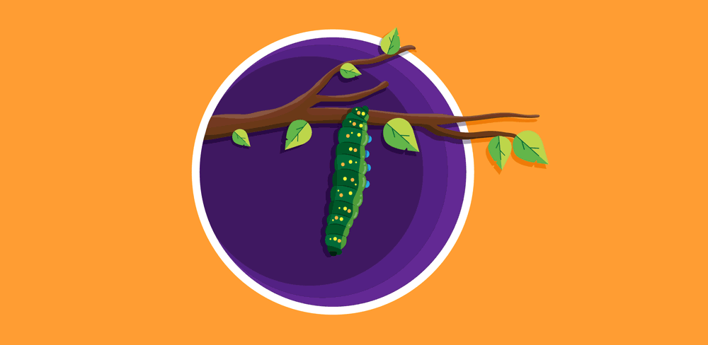 Platform45_-Inner-article-GIF