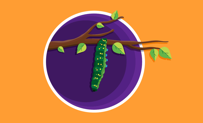 How to Turn an Internship into a Success Story