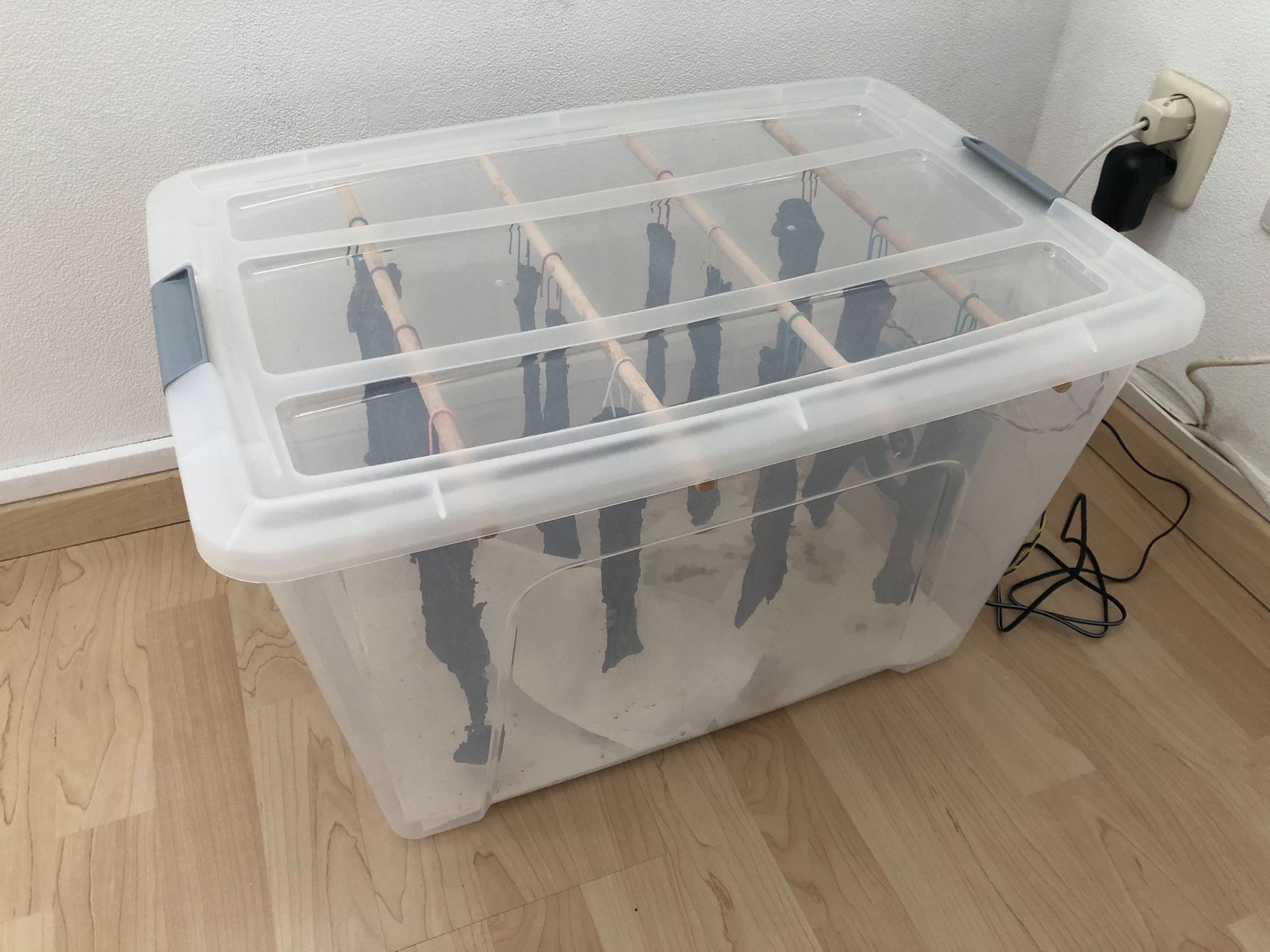 Wifi-connected biltong maker