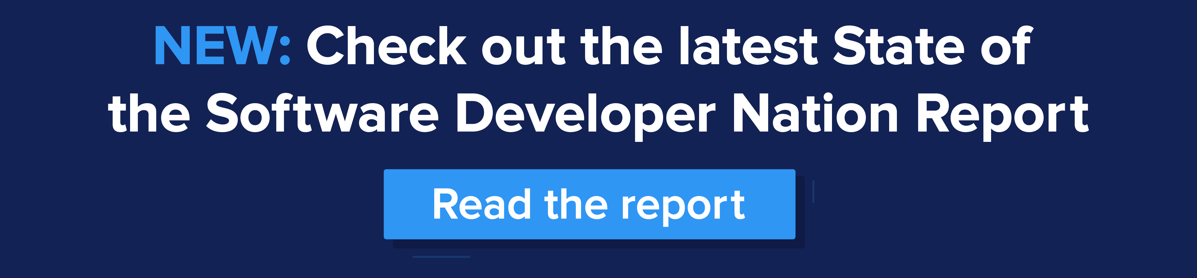 OfferZen_2021_State-of-the-Software-Developer_Nation_report_CTA-banner-68-1