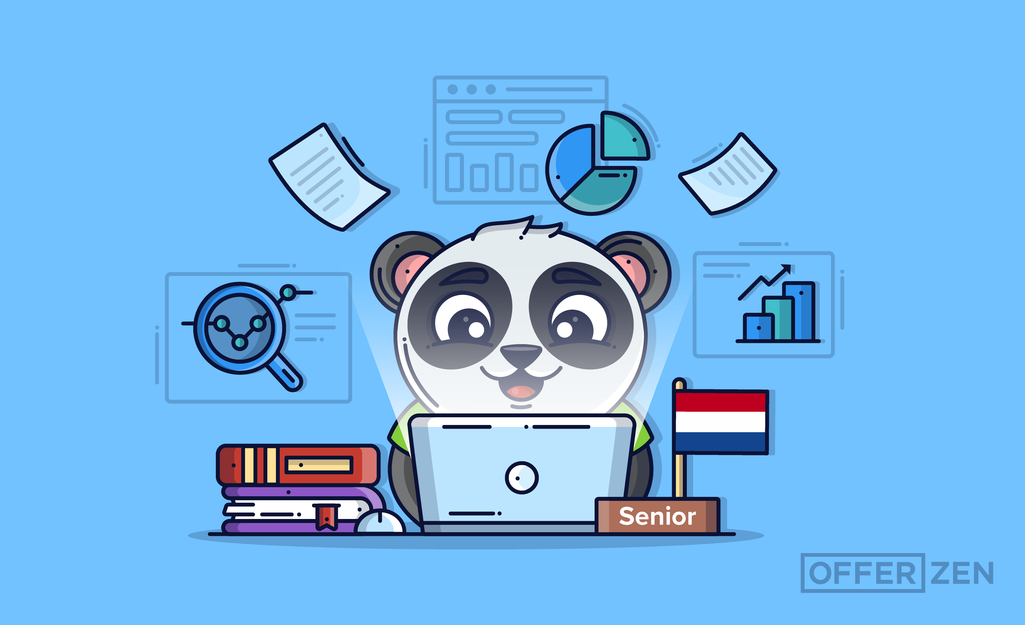 What It Takes To Be a Senior Developer in the Netherlands