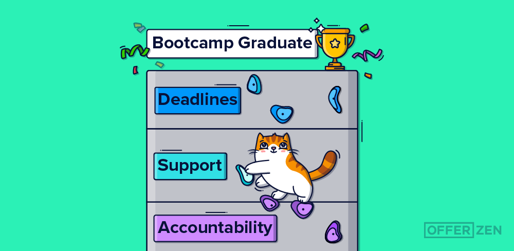 OfferZen cat climbing a climbing wall that says accountability, support and deadlines to get to the trophy at the top that says bootcamp graduate