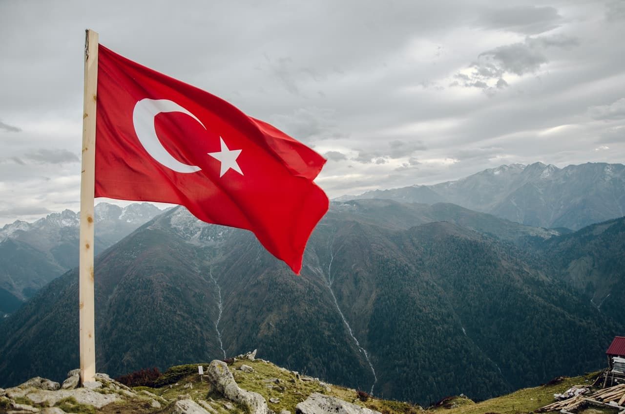 Everything You Need to Know About Turkish Olive Oil